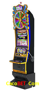 A Experiência Imersiva dos Cassinos Ao Vivo no Cacobet Com