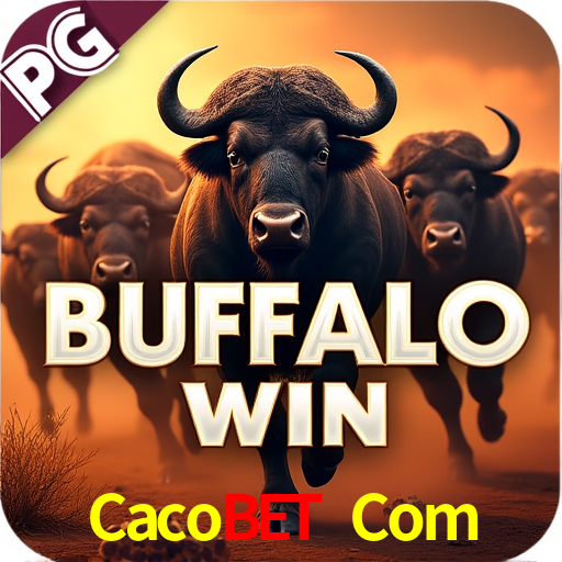 A Experiência Imersiva dos Cassinos Ao Vivo no Cacobet Com